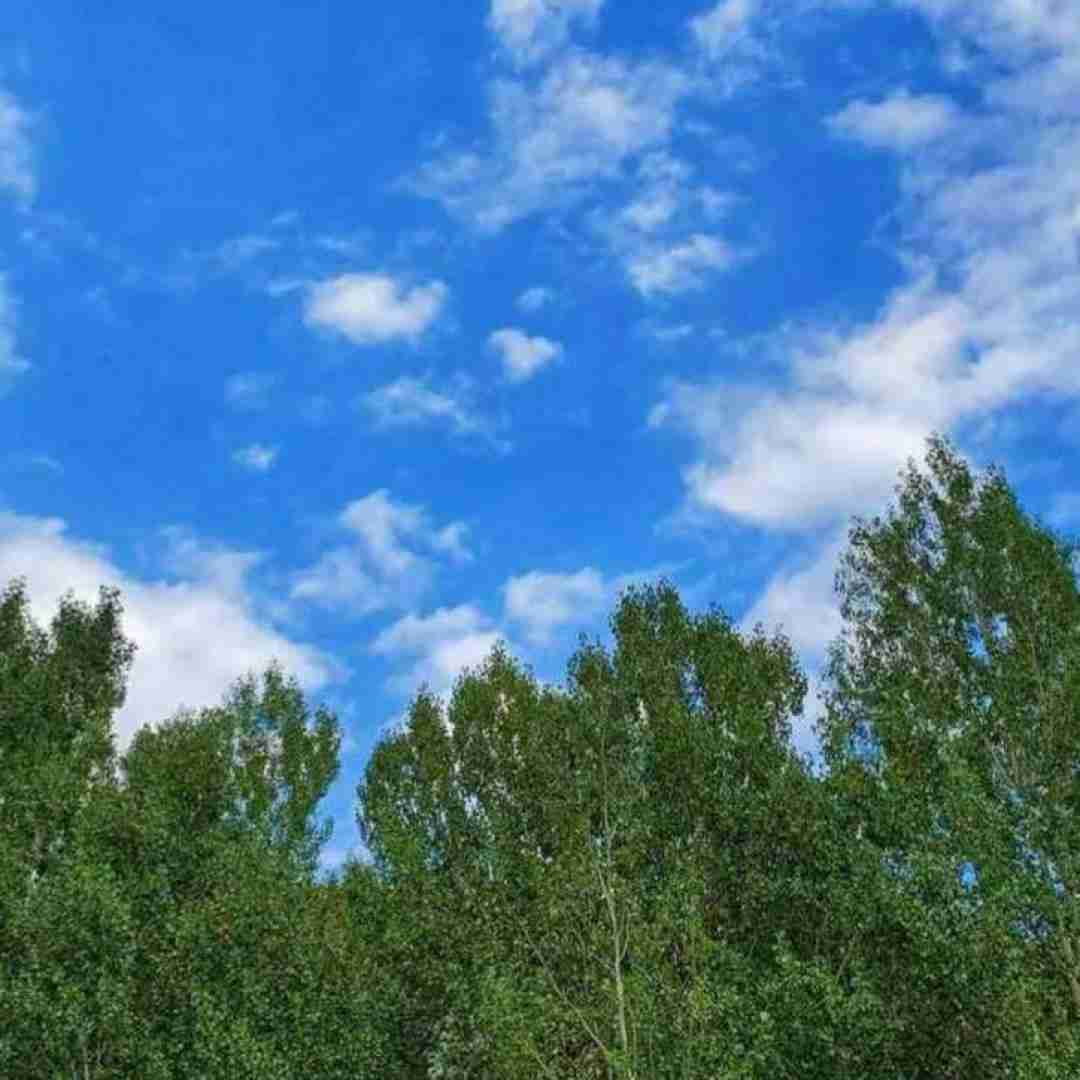  این سه تا کارو نکن مامامیا ماماسیتا