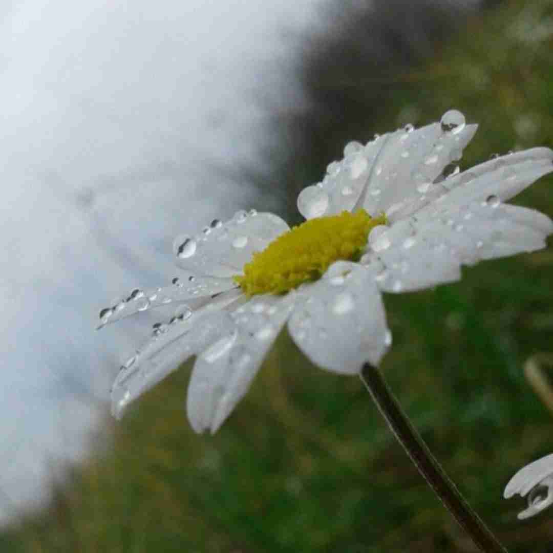  اگه هنوز میپری با هرکی عقده ای تره