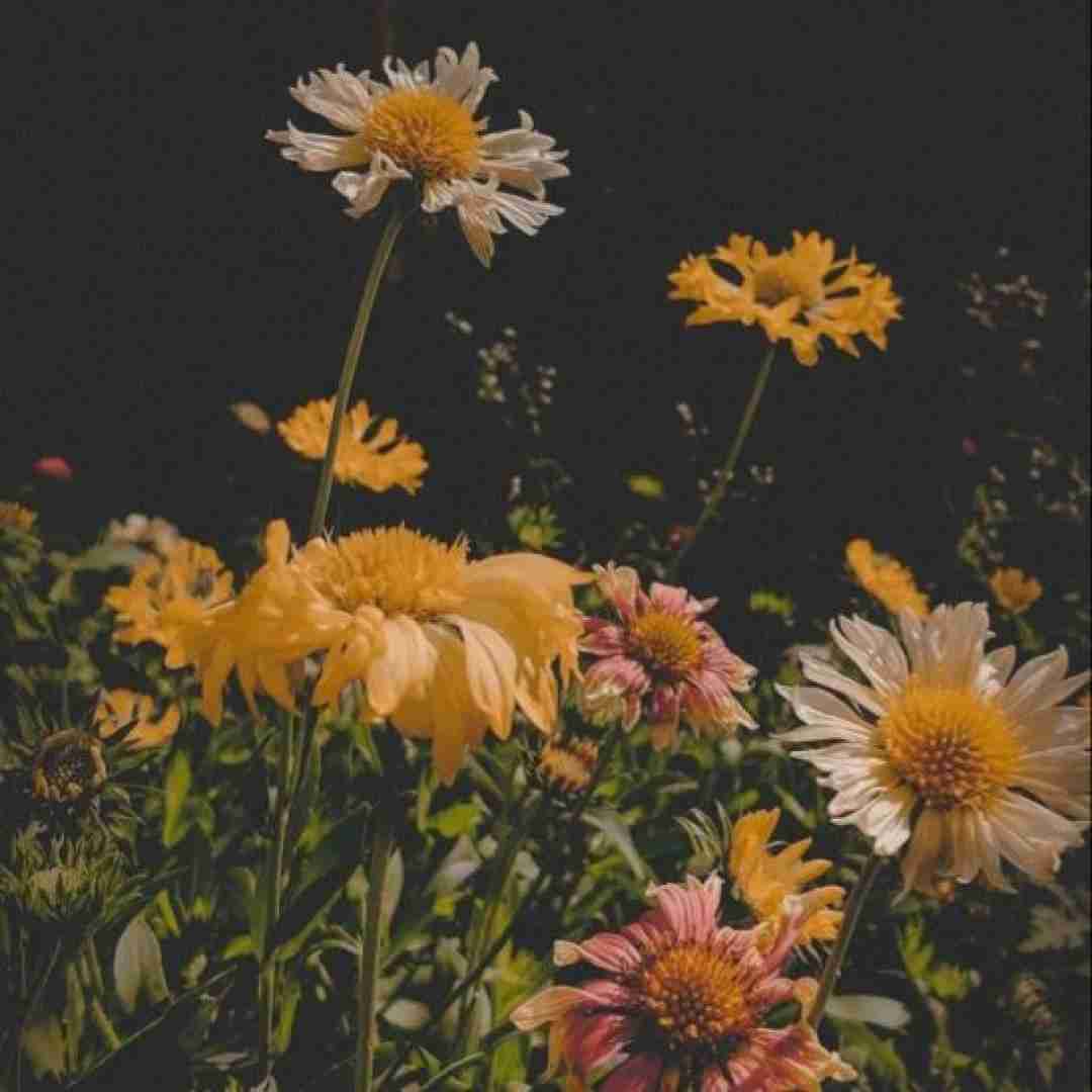  یه دریا توی چشماته ببین چه چشمایی داری