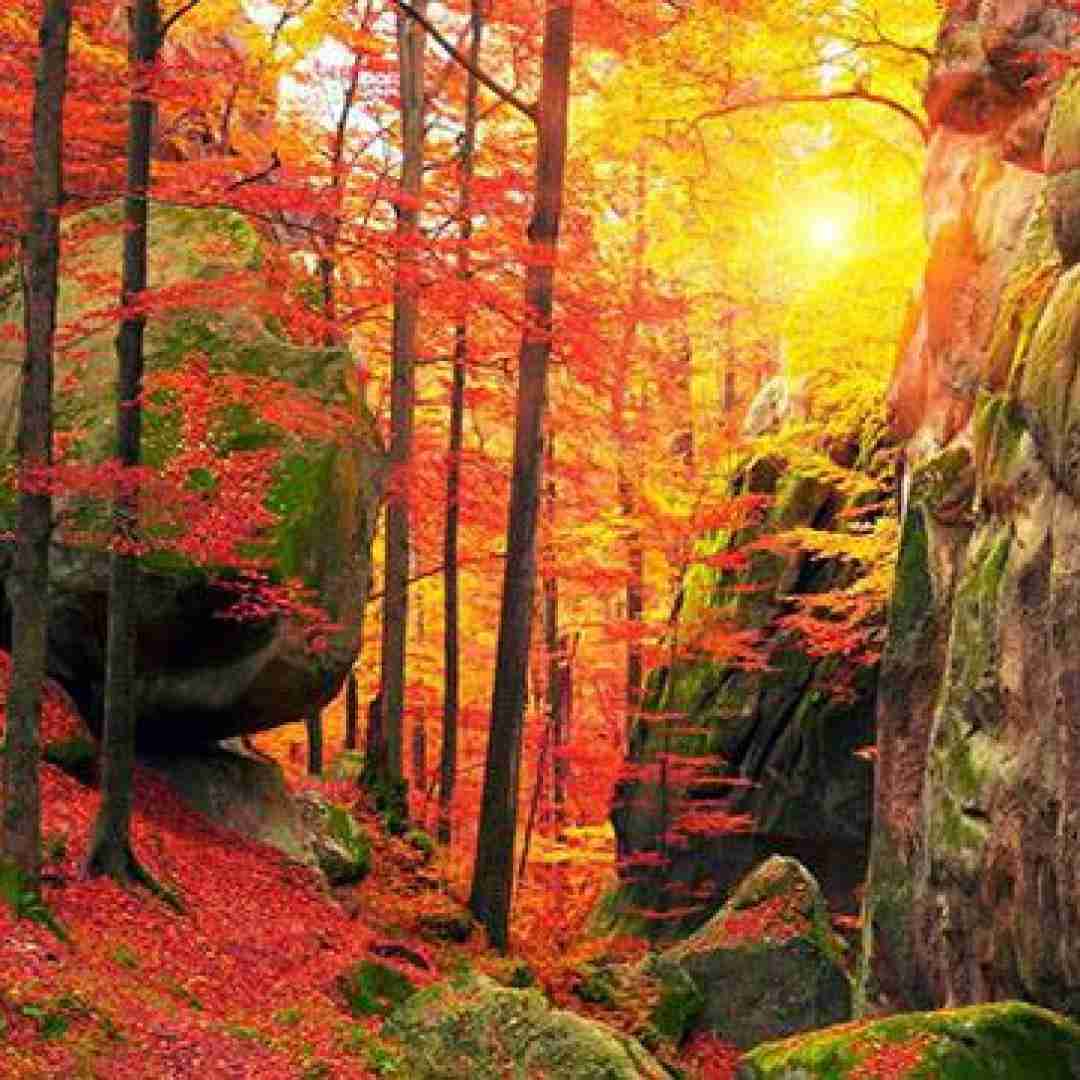  تموم شد دنیای کارتونیمون فانتزیمون برای من واقعی بود