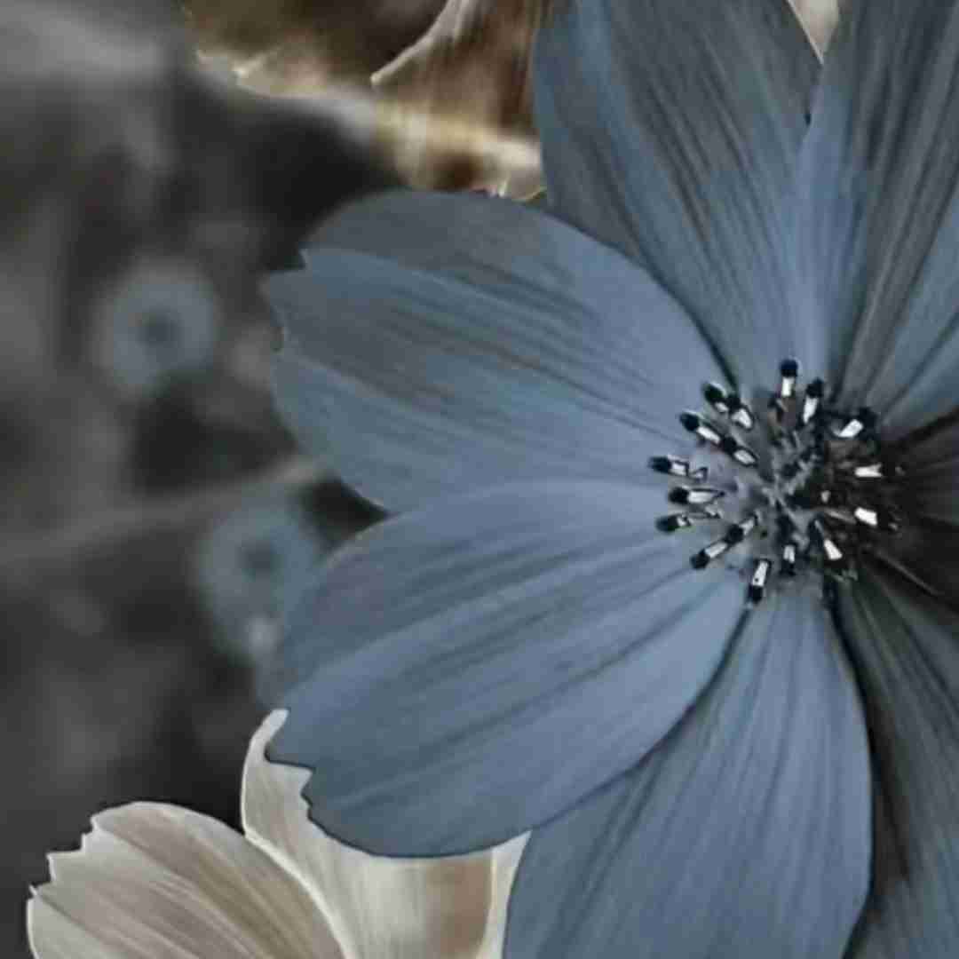  چنی وی ژیره سردمه هی جماعت گور به گور