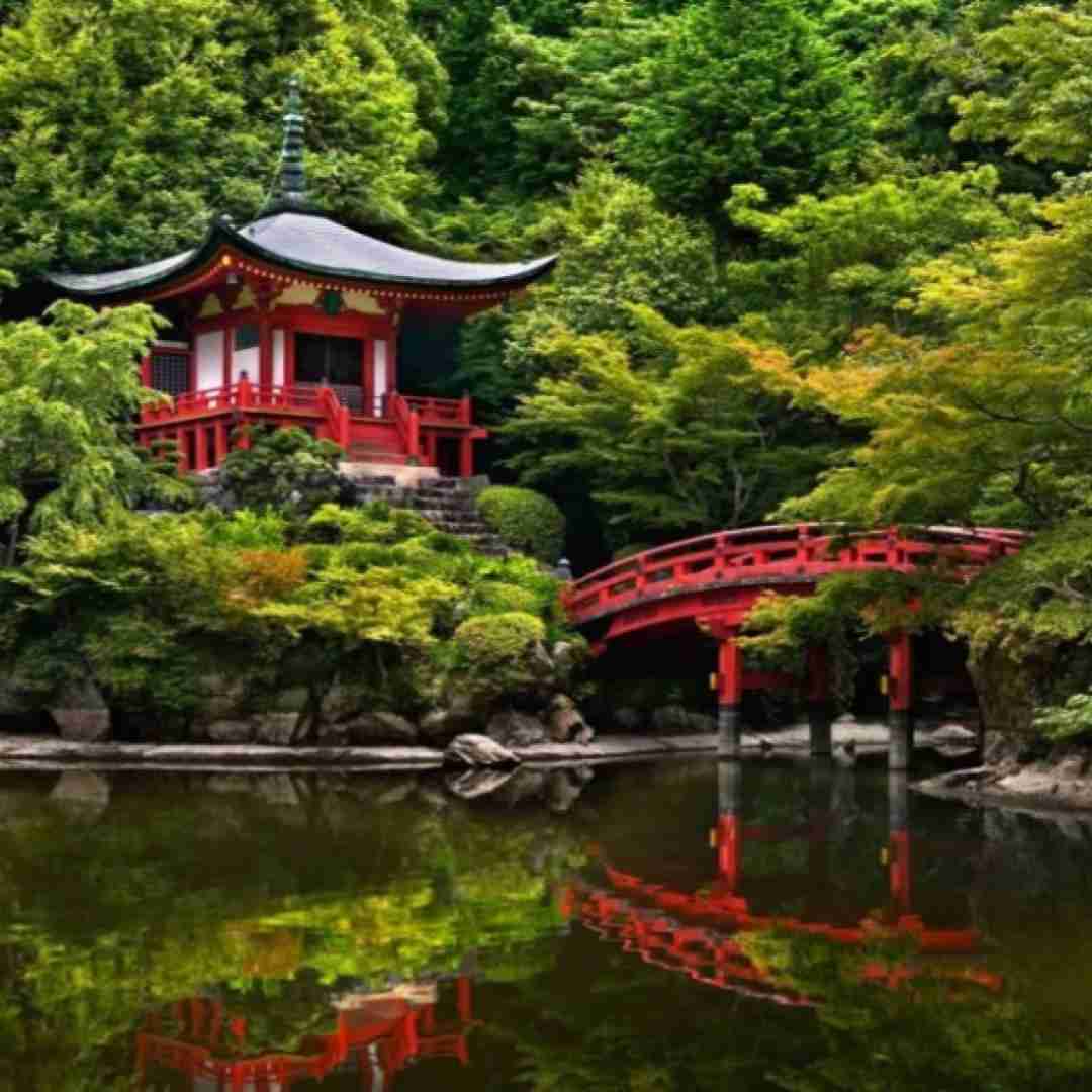  خارجی تو خیلی خوشگلی تو خیلی محبوبی من فقط میخوام معشوقت باشم