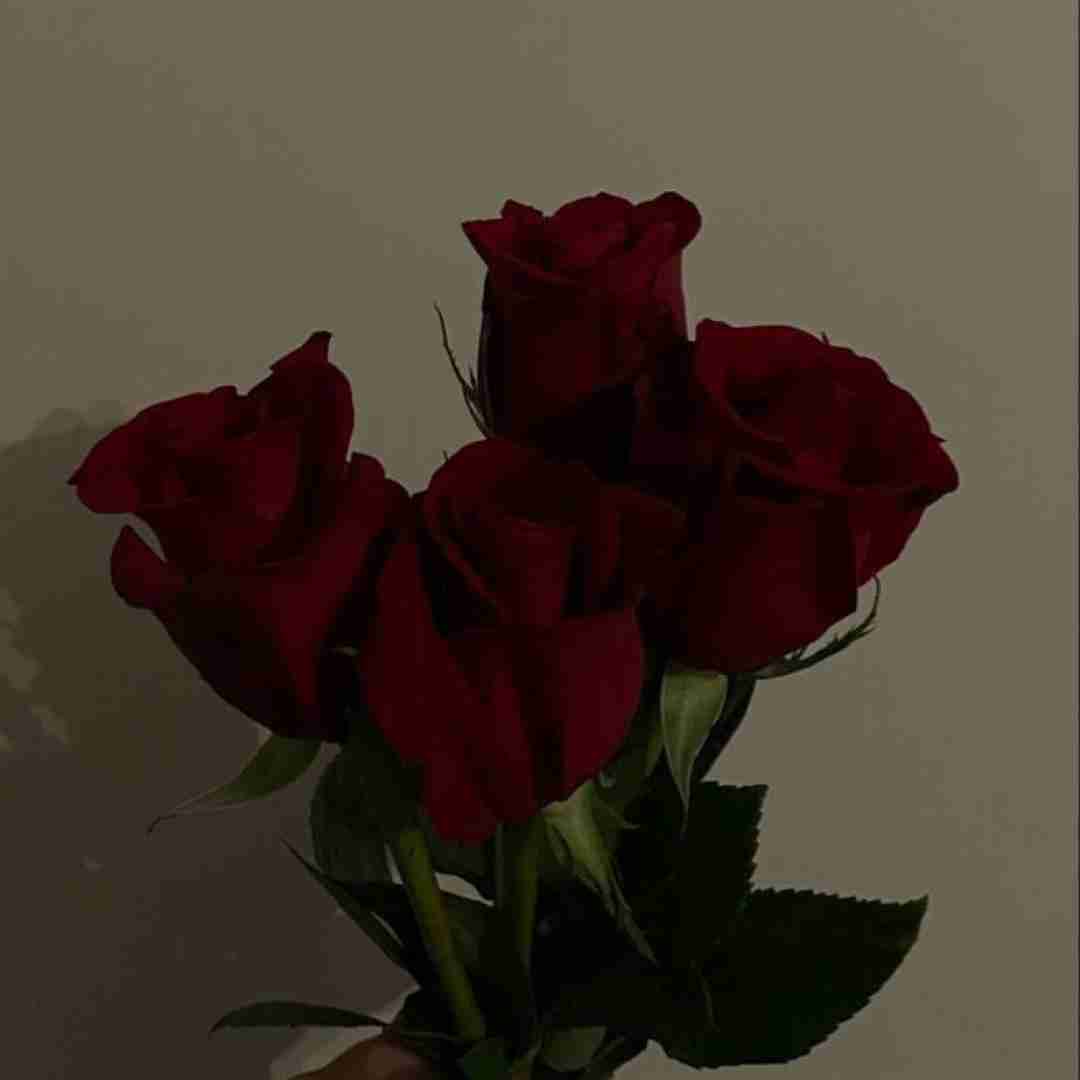  گوله برفا میرقصن حال منو نپرسین چیزی منو گرم نمیکنه