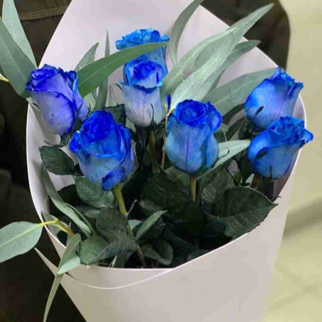  میبرمت بیبی پونتو کانا بپوشی