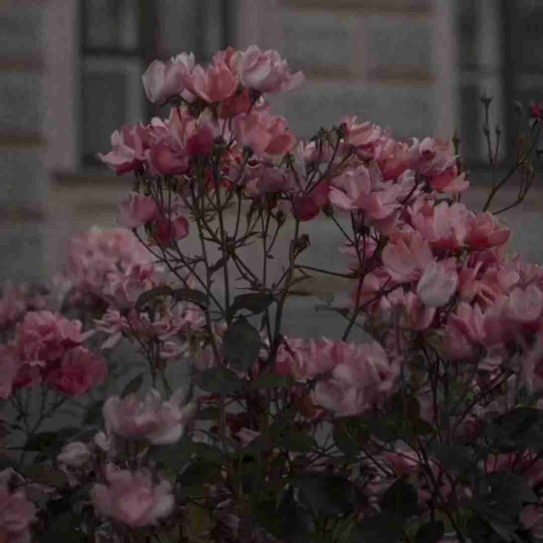  دی چشتی احساس نیکم یه روزی از روزای خیلی دور