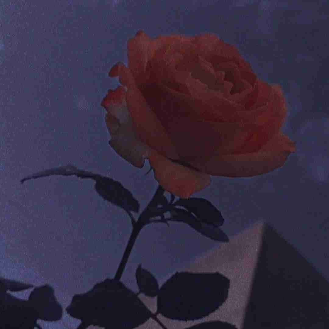  من اصلا حالیم نیست اگه سنگم بخواد بباره با صدای زن