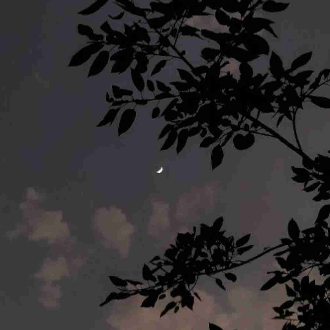  هواس پرتی گردمه بزن قدش