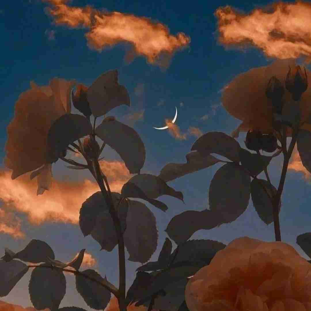  تنم داره میره بالا هی دنیا زیر پاهامه
