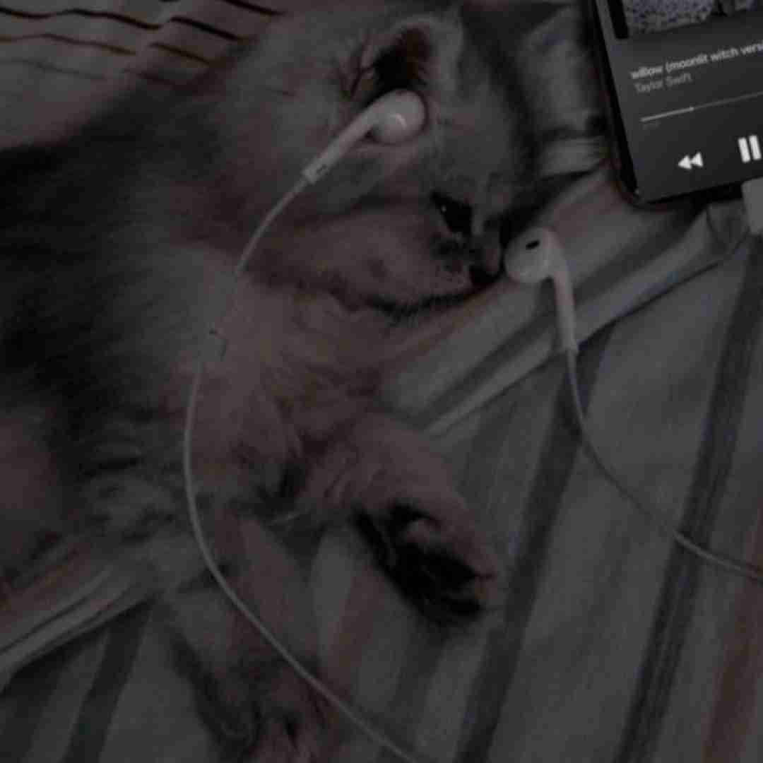  هم ازت دلم پره هم هم پر از احساسم