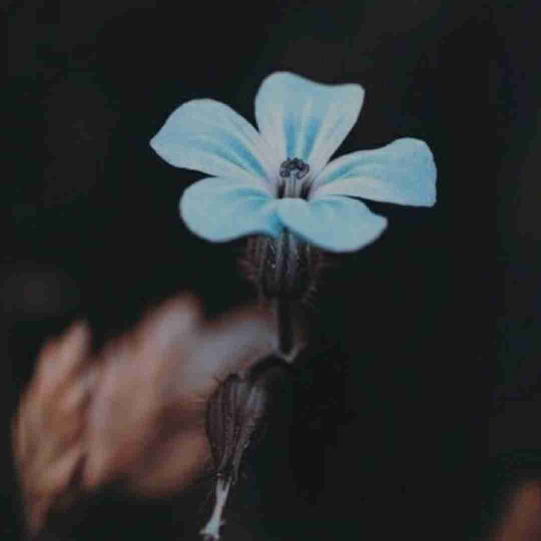  تورو دوست دارم یواشکی با صدای بچه
