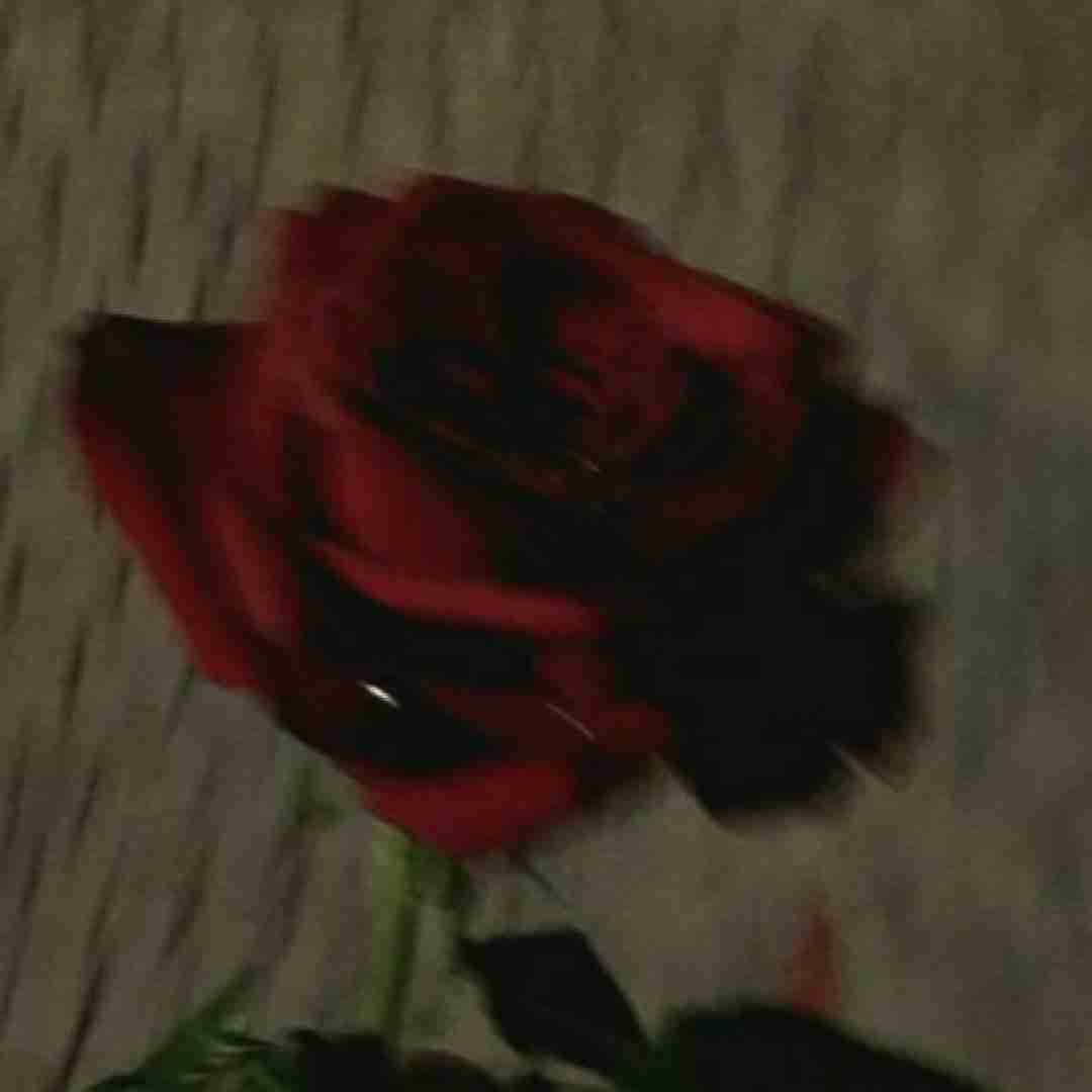  کسی حواسش به تو نیست پسر خرج شیمیایی پدرت افتاده گردن تو