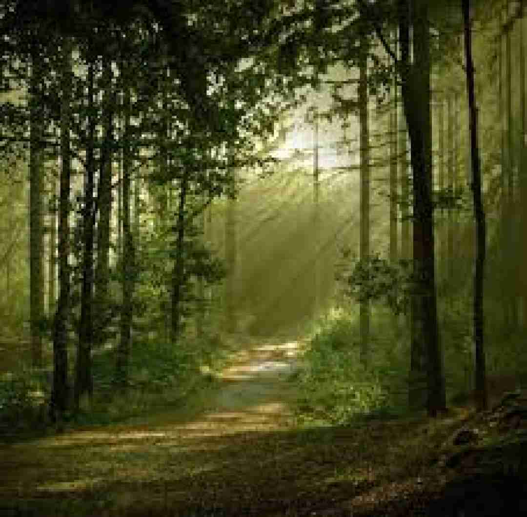  تیغو دستت دادم اما عزیزم یادت نره - ورژن بندری