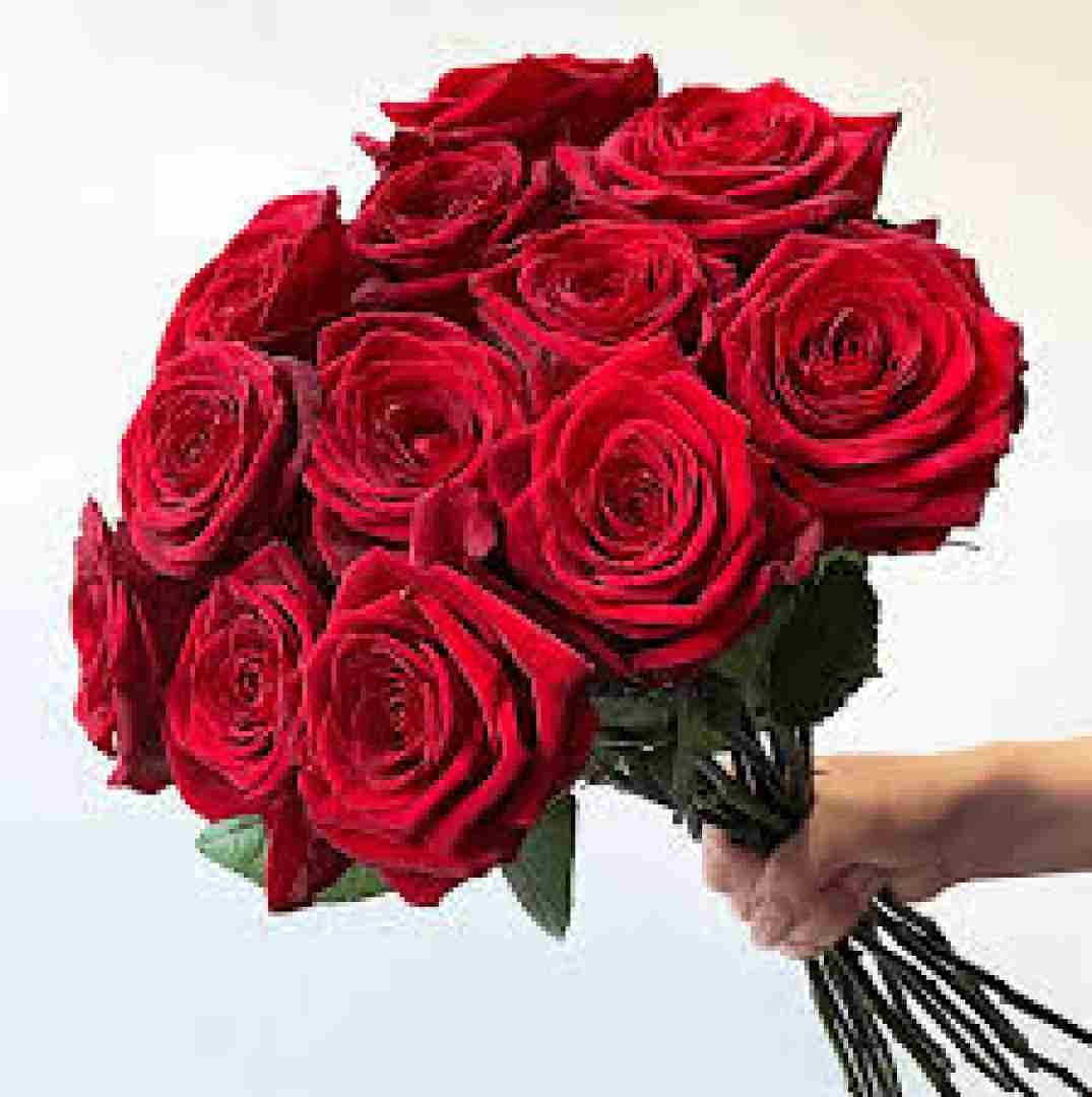 بیا تو اینجه موره نگاه کن - ورژن مشهدی