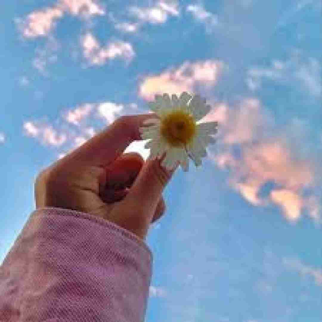  همه چی بعد تو شده شر‌وع بری تو کلم نمیره فرو