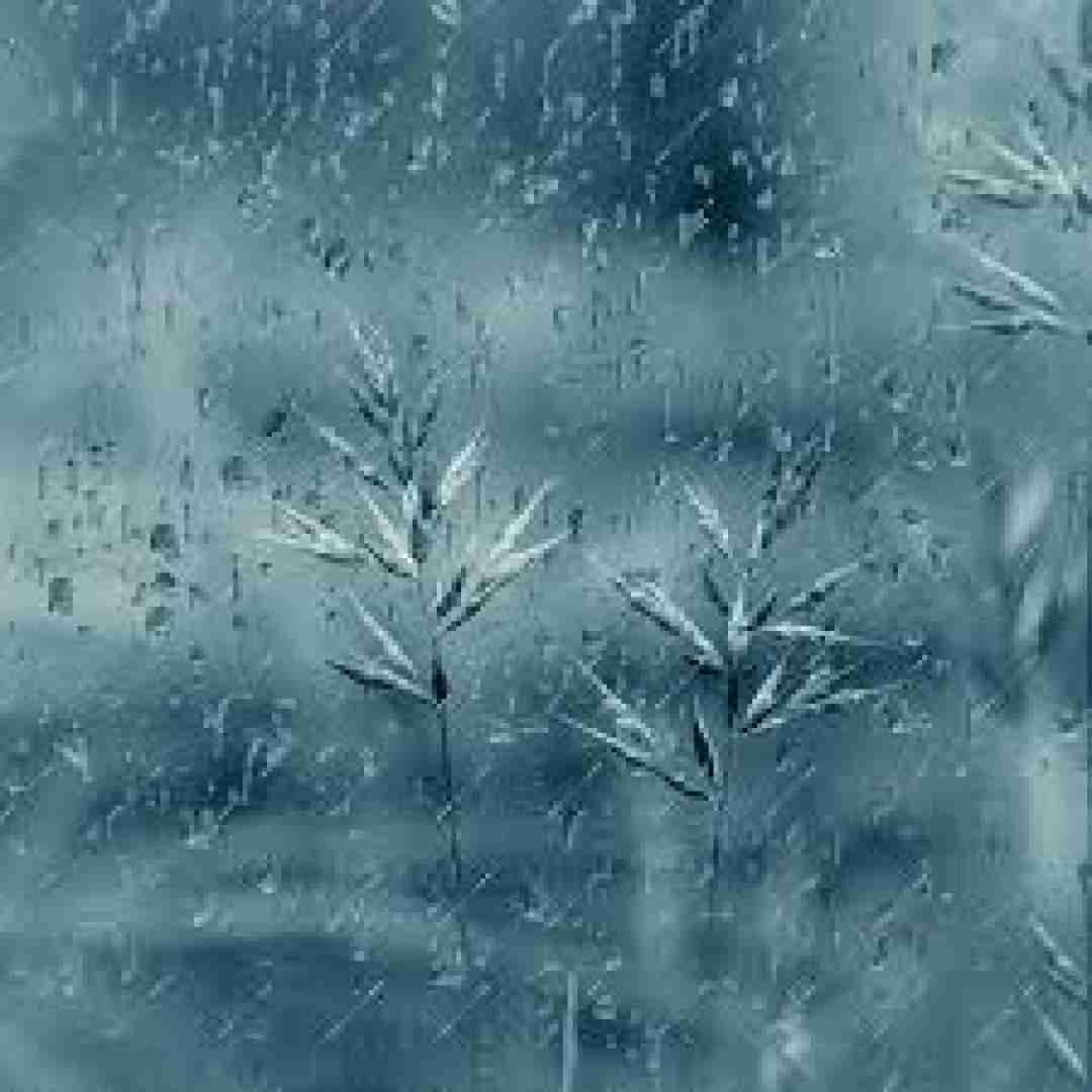  یالا دودودودو