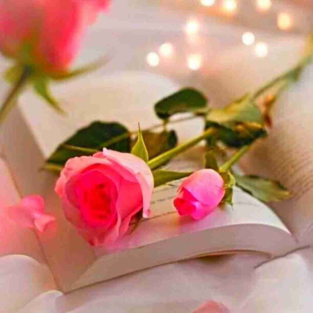  بوی بودنت چه خوب مونده رو تنم نمیدونه کسی به جای من