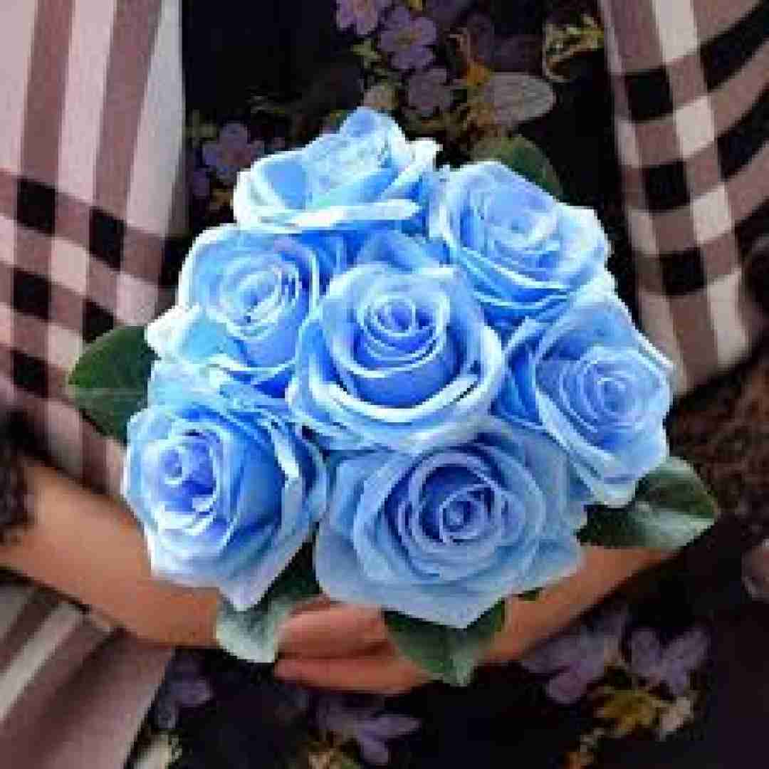 فیردوس شه و درنگه و خیالی من بال ئە گریت