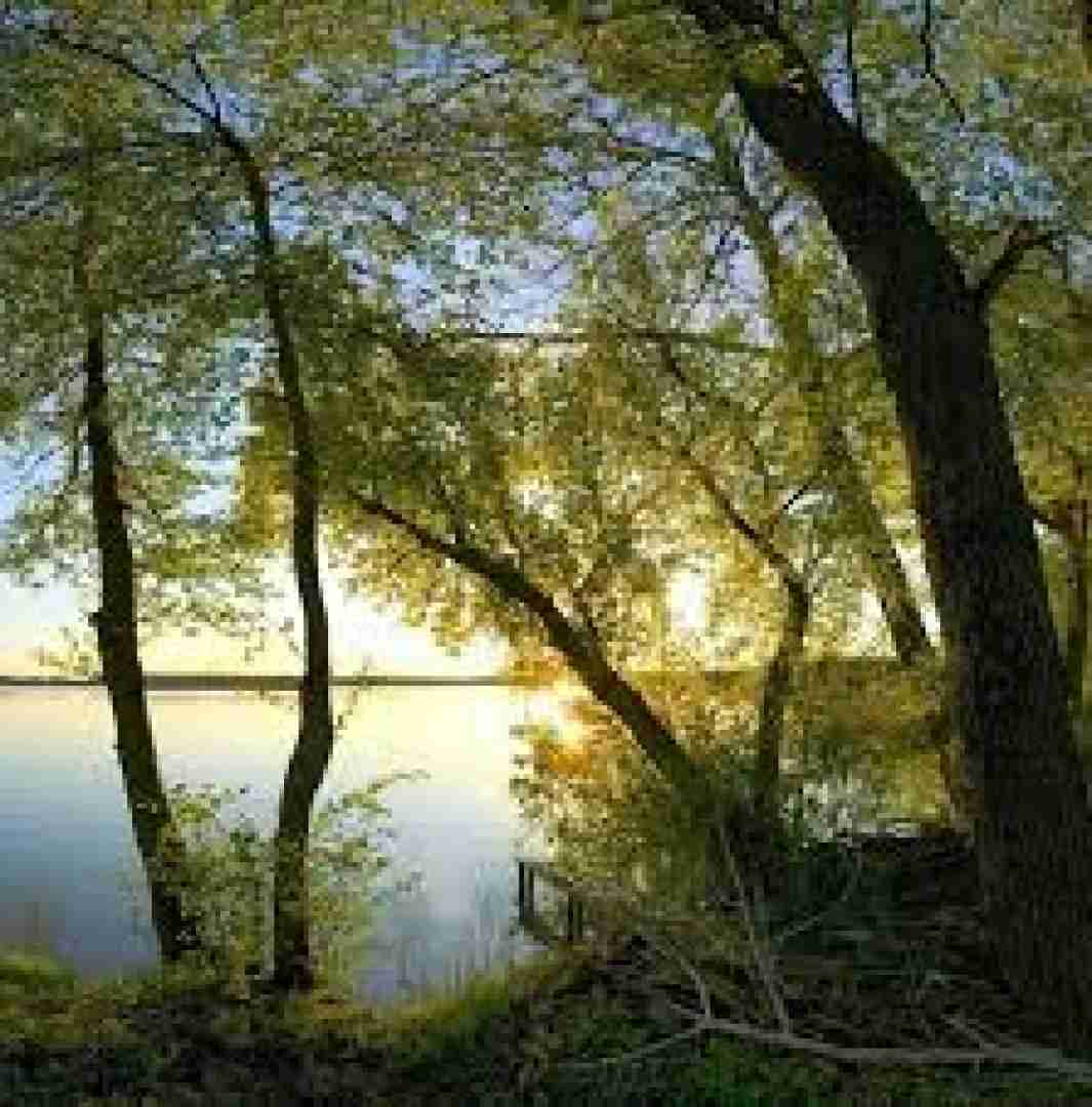  نه میشه موند نه میشه رفت نه میشه ترک کرد