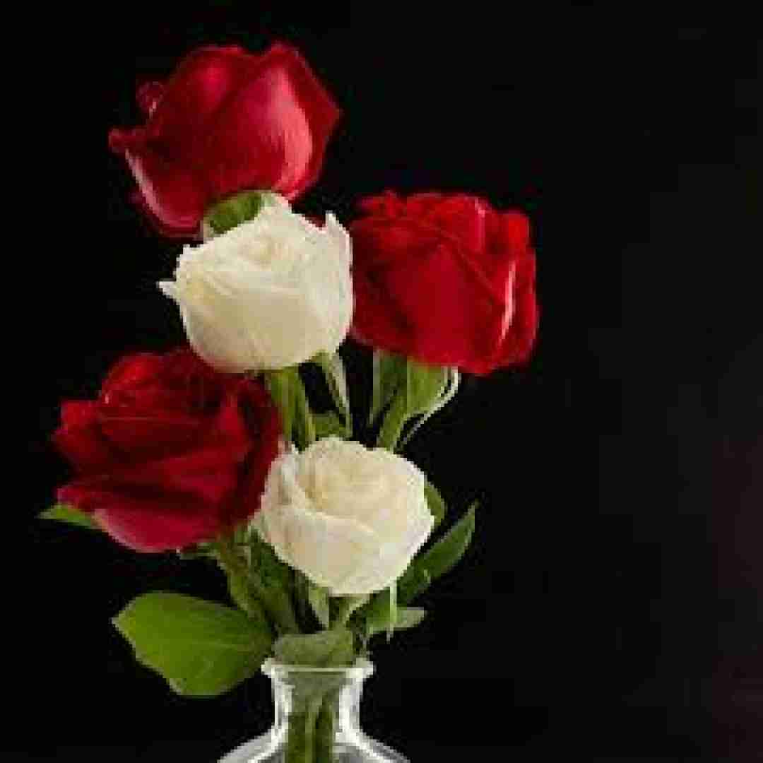  میدونم میدونم قد رعنا داری چشمای زیبا داری