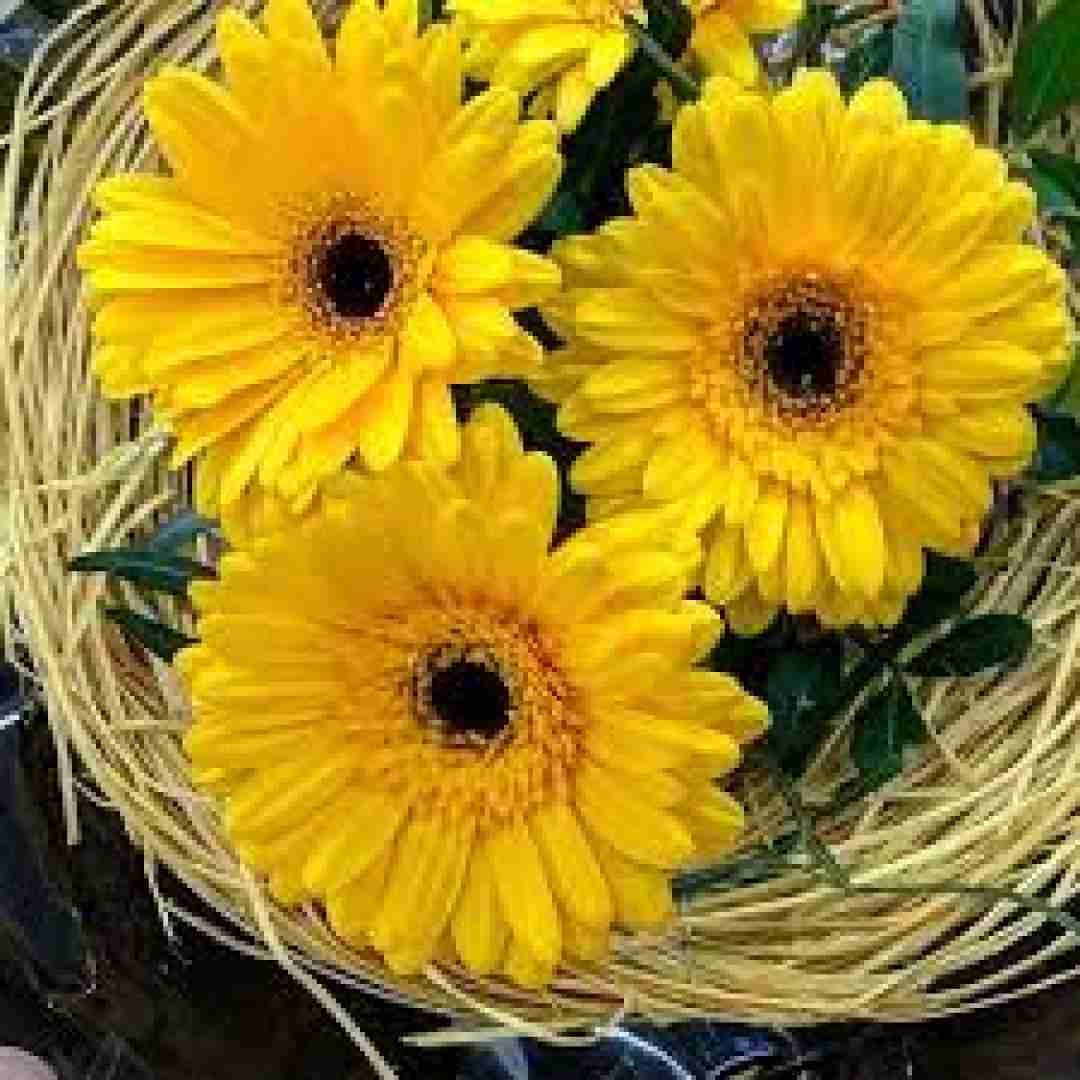  دخی هر روز هفته تو عشق و حال و افتر