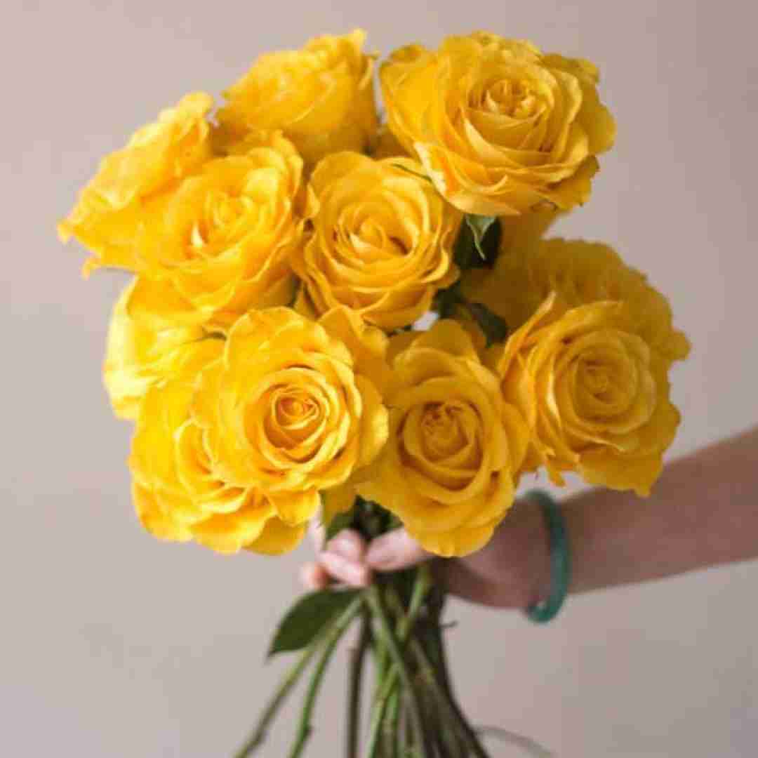  گل ا‌ومد بی وفایی یادم اومد با صدای دختر