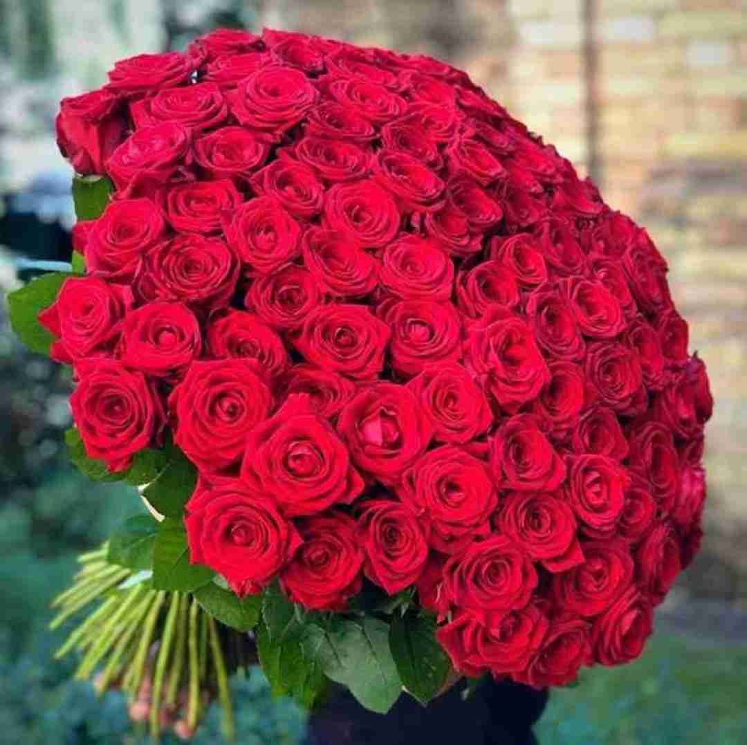  حالا به چی چی میگن داف چی به دختر علاف