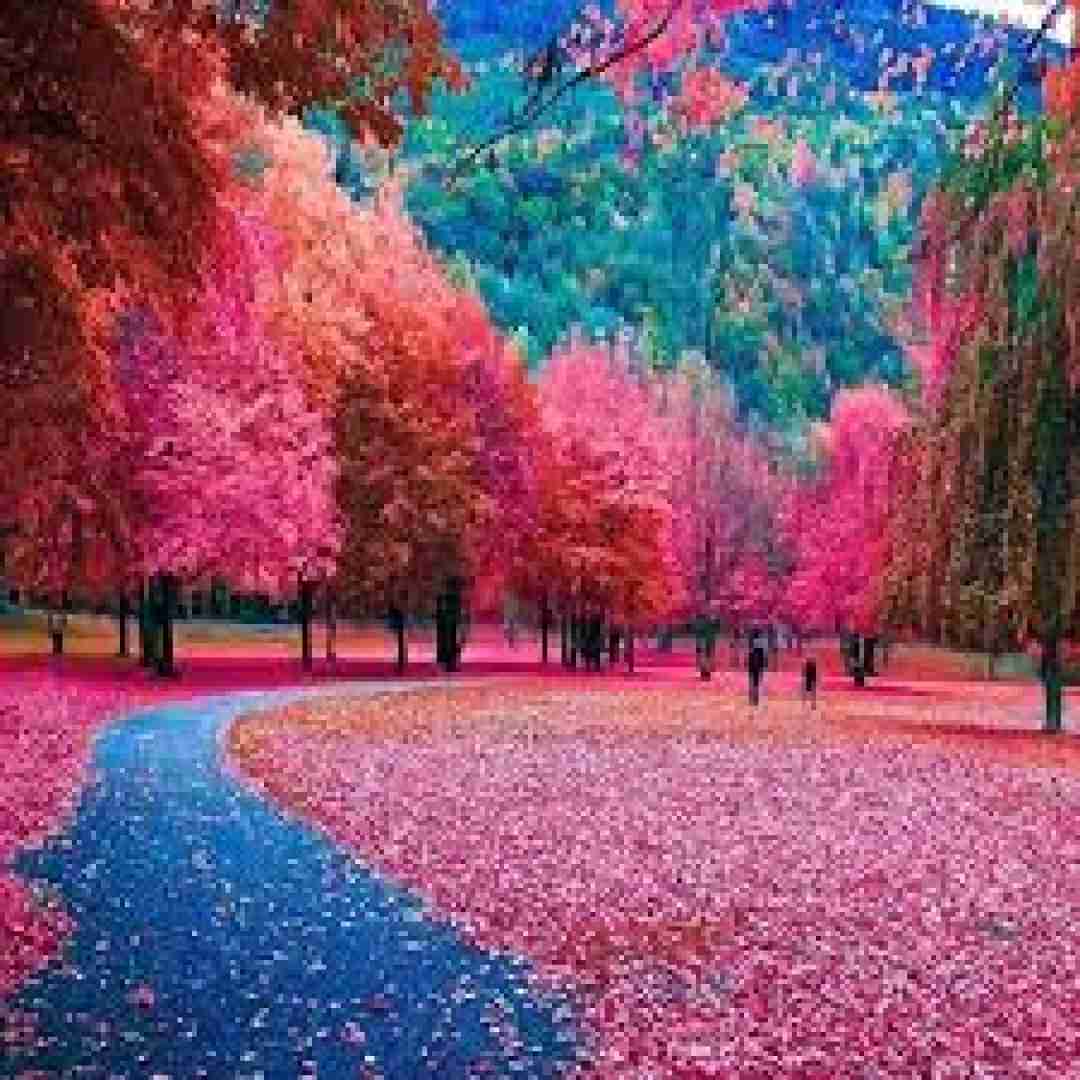  گفتی ادایم کردی باور نکردم