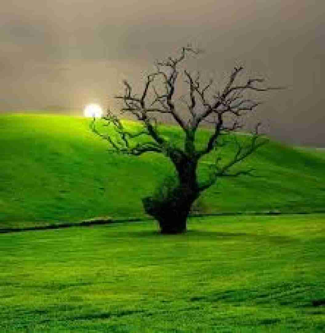  کاش نرسیدن ته همه مسیرا نبوده