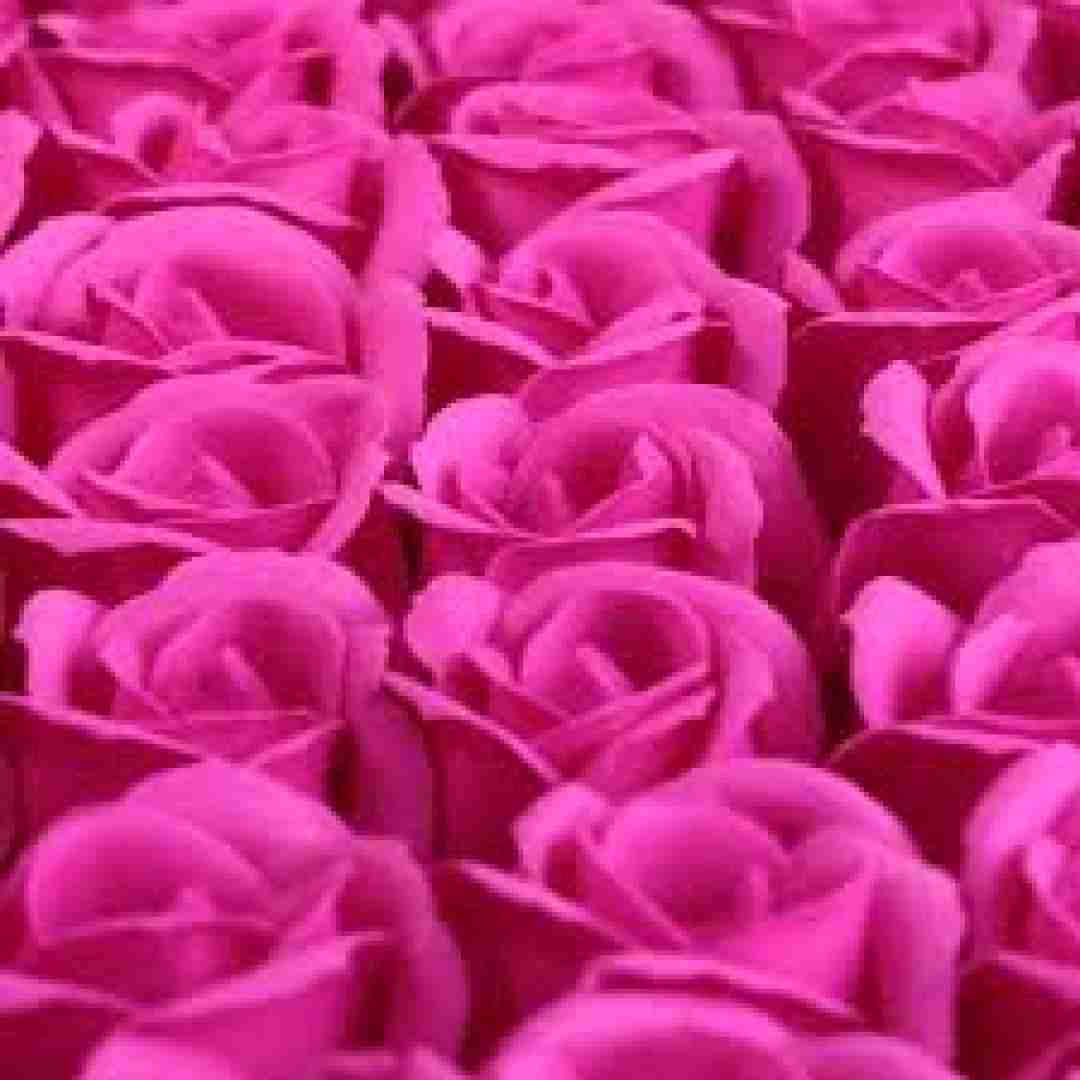 مائده خادمی کیجا مگر ندوسته مه کاره چپونی کردمه شهر کناره