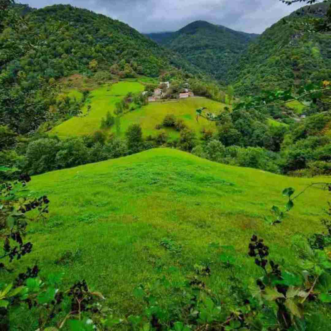  تو مویرگای مغز منی بیا خنده میشم