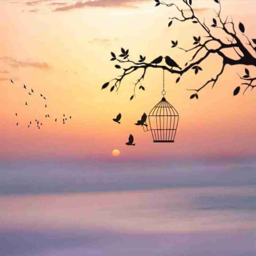  برای چی اوضاع رو پیچیده کنیم دوسم داری