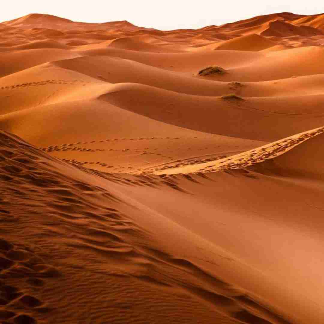  تریاک آهنگ سیخ و سنگ تقدیم به بروبچ کانال