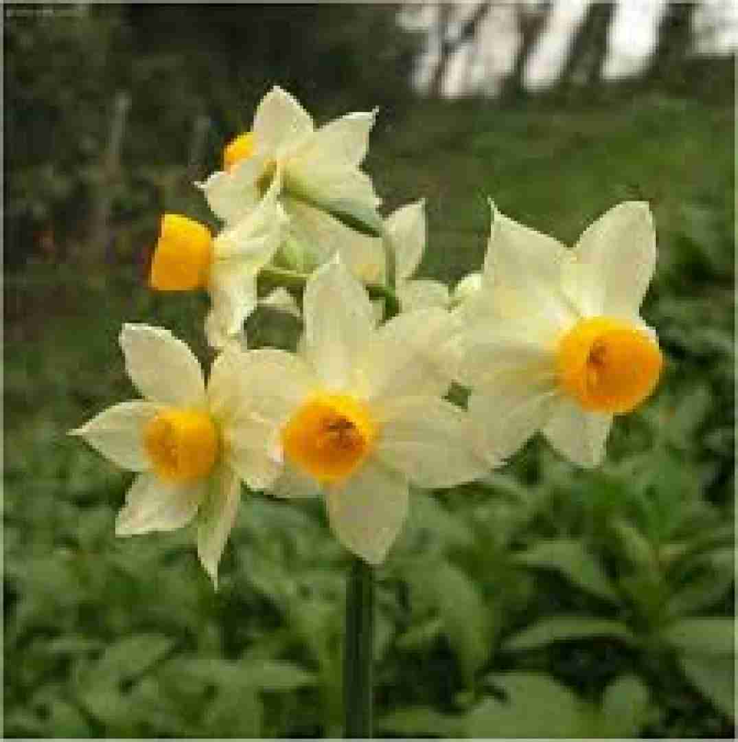  به ممد پا بده همیشه ممد اگه دلش بشکنه