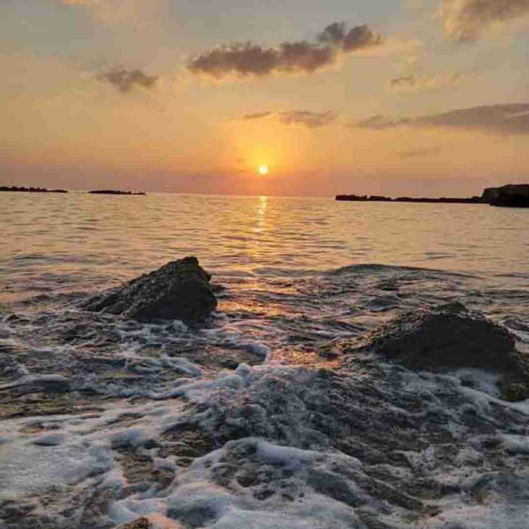  دلم مثل حالم پریشونه امشب هوش مصنوعی