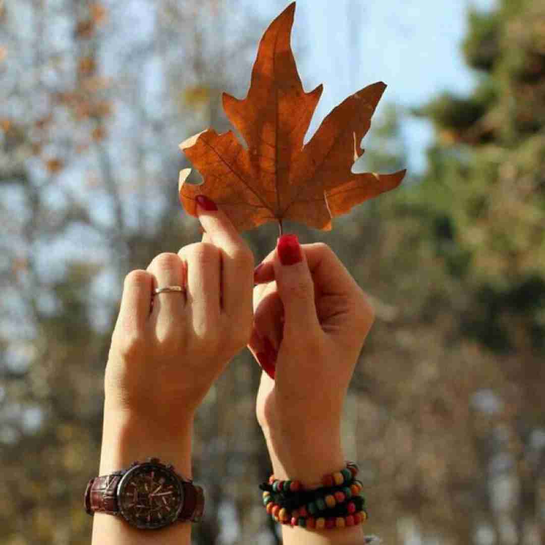  خود فدایی کی باشه که تو باشی فداییش