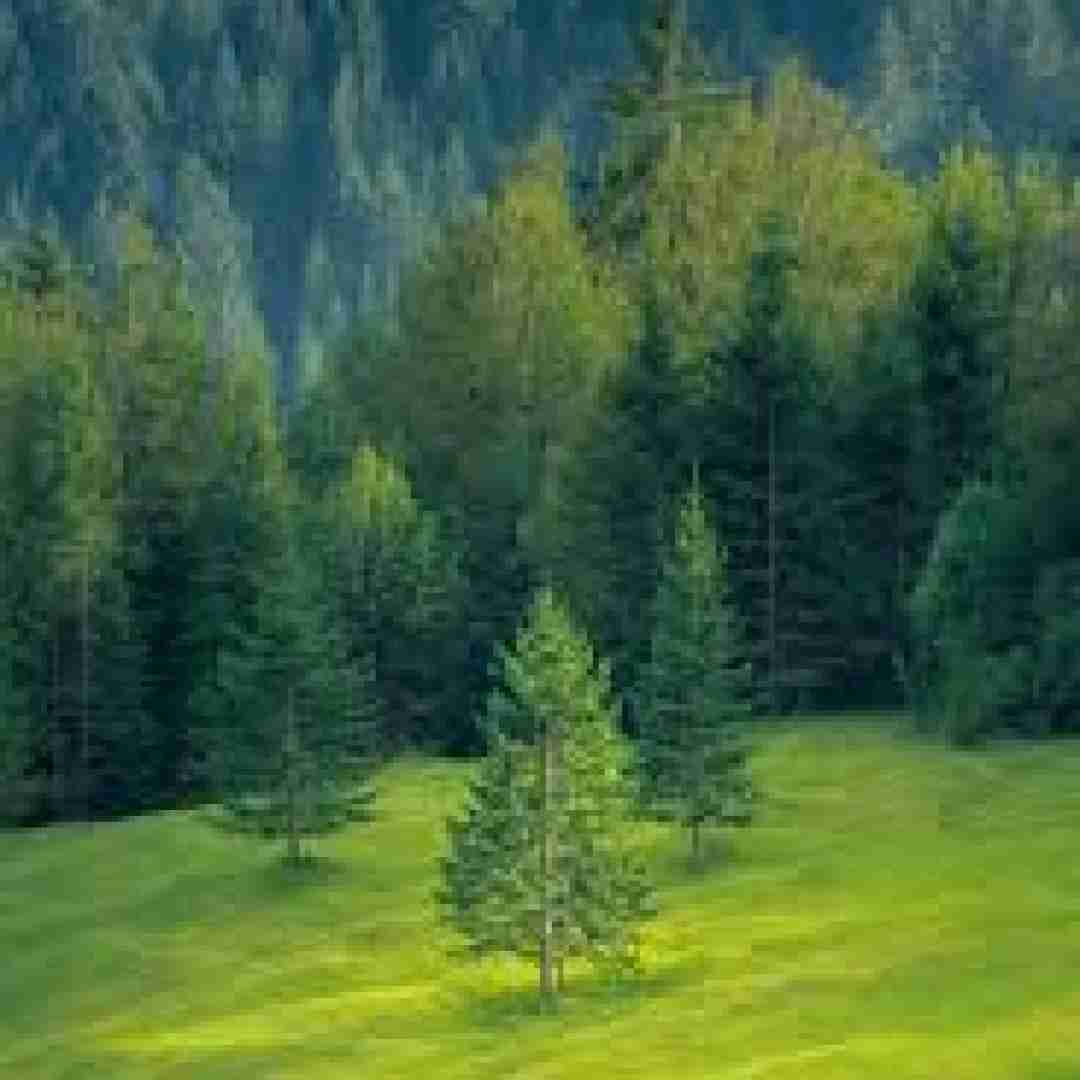  پایمی دادی بم دلو تو بغلم میلرزه تنت