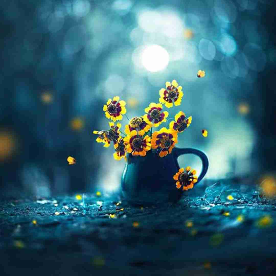  چاقوم زیر گلوتونه سرا بالا