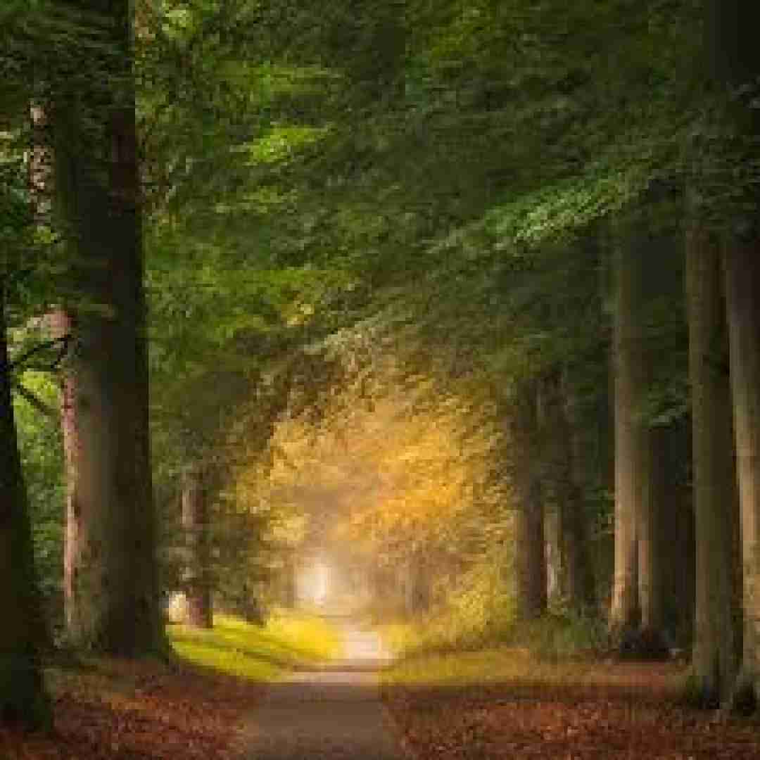  کنارم هستیو اما دلم تنگ میشه هر لحظه هوش مصنوعی