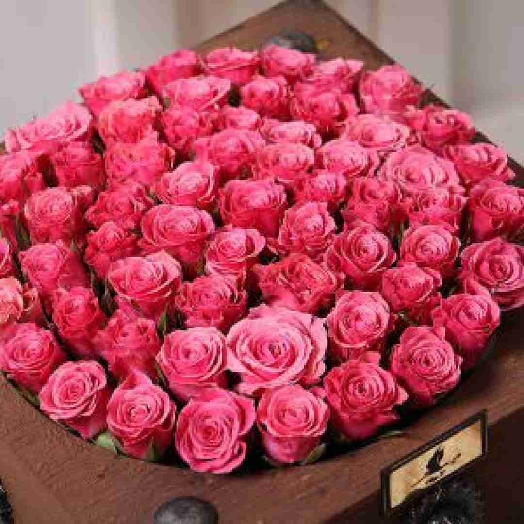  تابوتش کن هی روزی صد دفعه مردم و زنده شدم