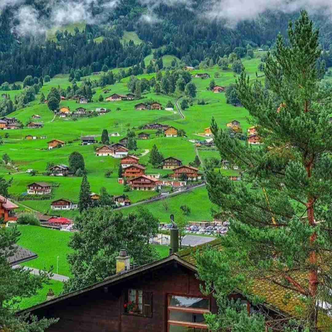  هر دفعه میگذره الکله میپره معروف اینستا