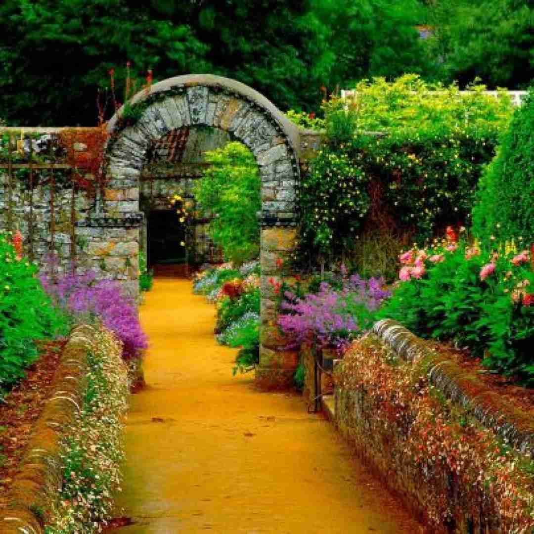  گل خوب بخوام داش علی