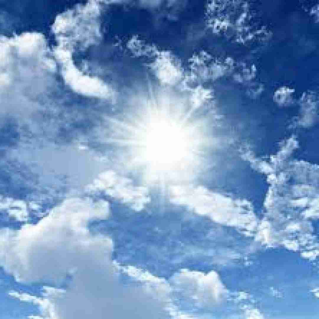 فاطمه عطایی های برو های نشو دل پره درده