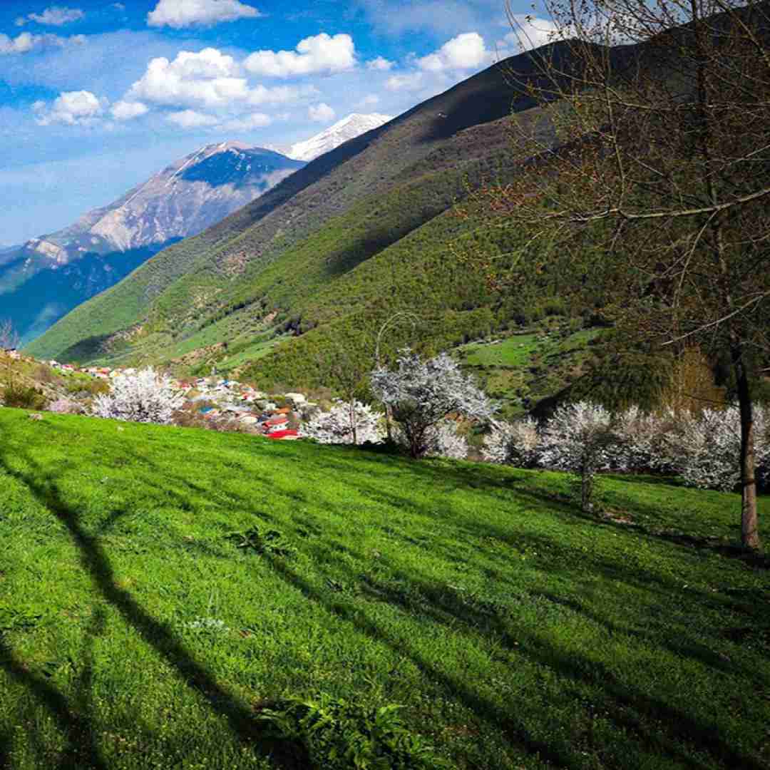  یارمه ندیدم دلدار مه ندیدم - ترند اینستاگرام