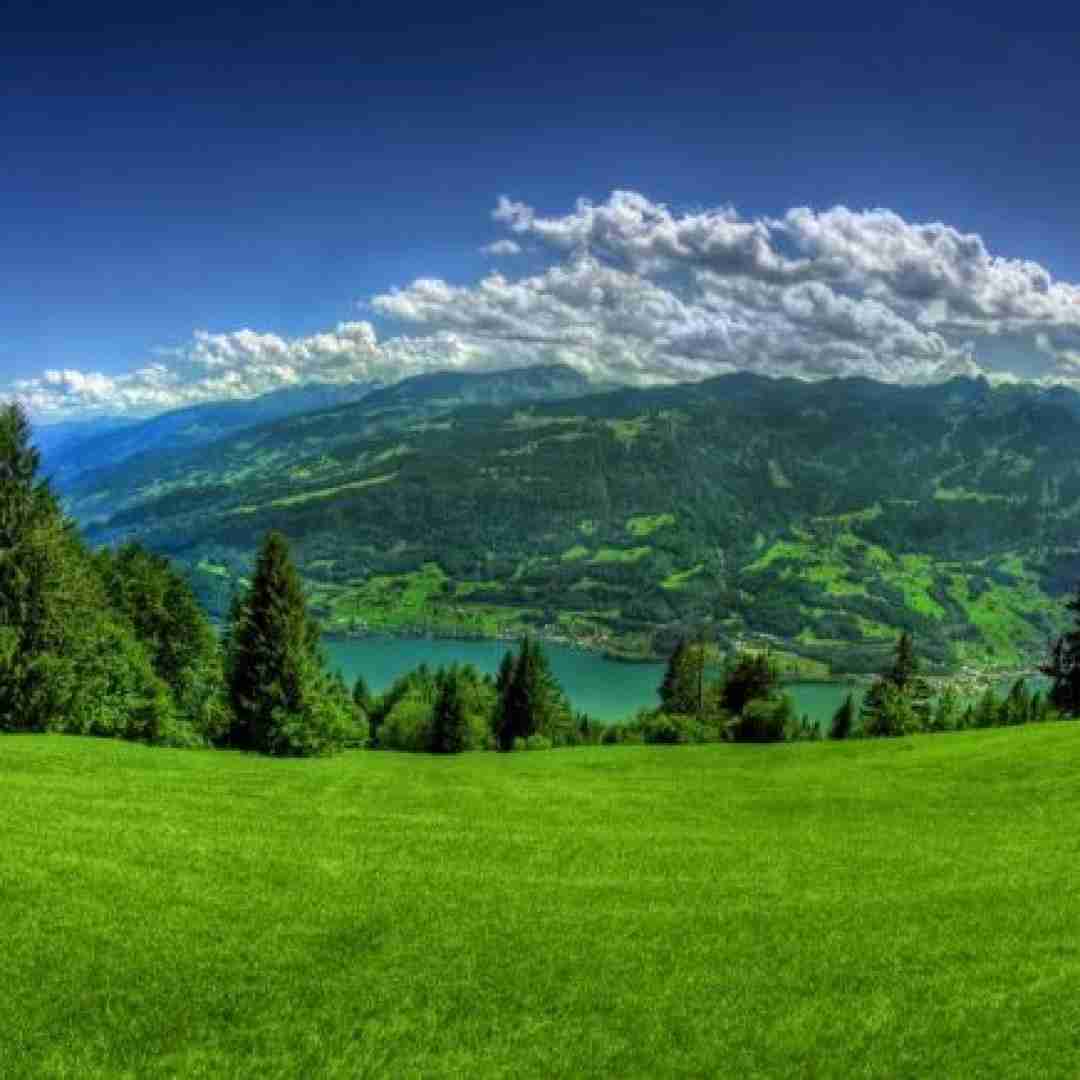  میگه جنست خوبه میگم فدایی داری