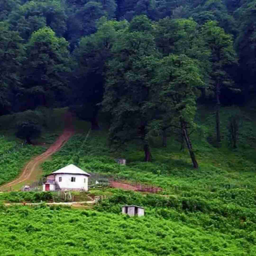  تو نور چشمی میبره دل منو موی مشکیت هوش مصنوعی