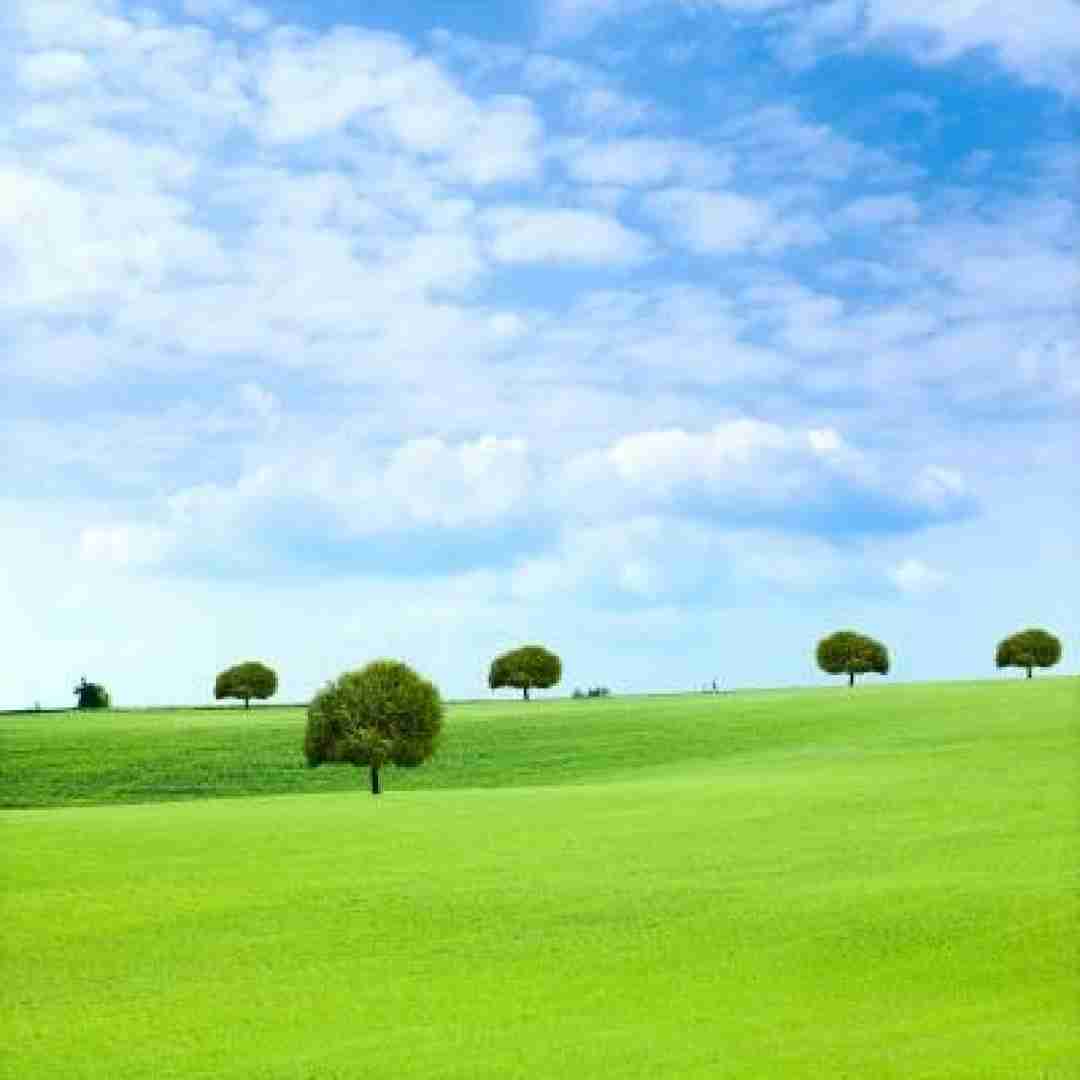  تق و‌ تق در زدم دست‌ پر اومدم هوش مصنوعی