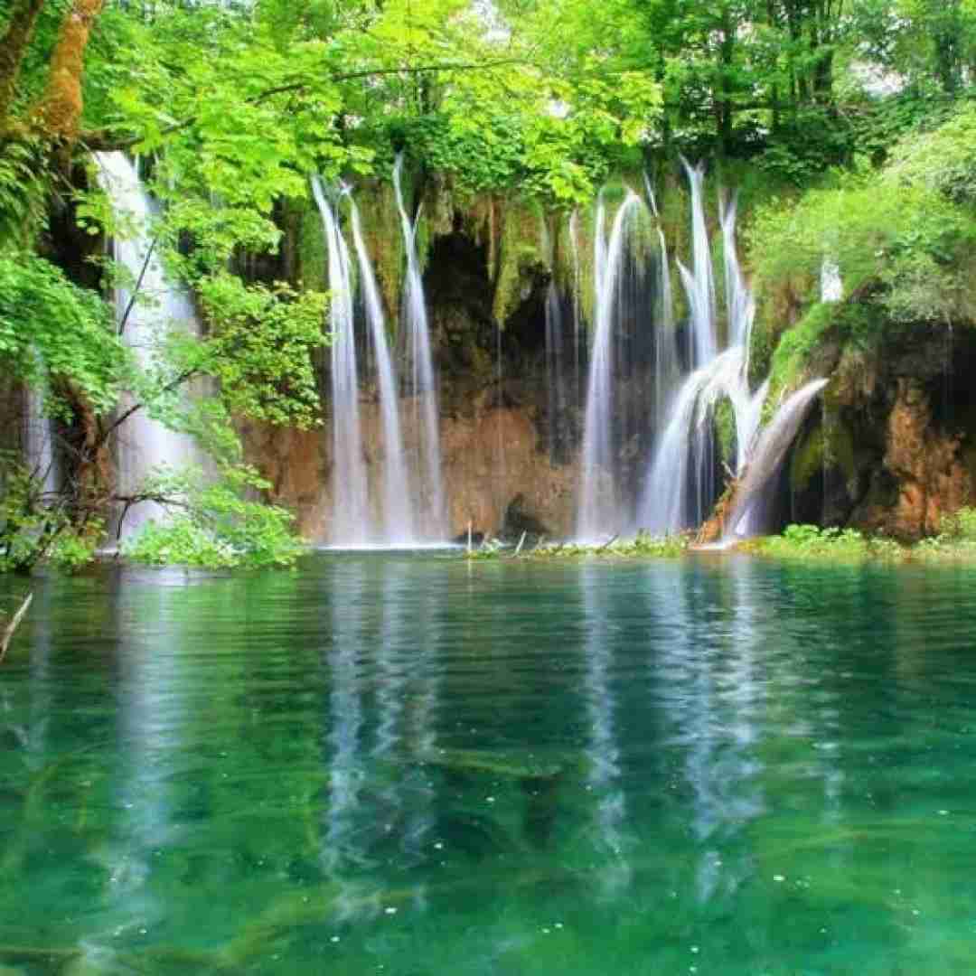  ای بی خبر از حال بیمارم رفتی و خود را به که بسپارم هوش مصنوعی