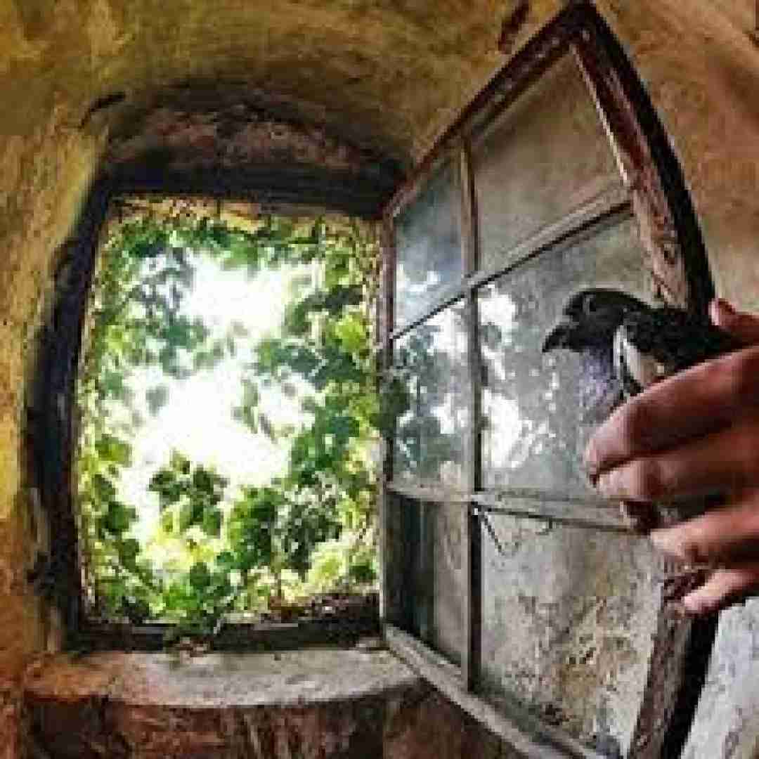  رفیقمی خیلی میخوامت تو بودی وقتی هیشکی