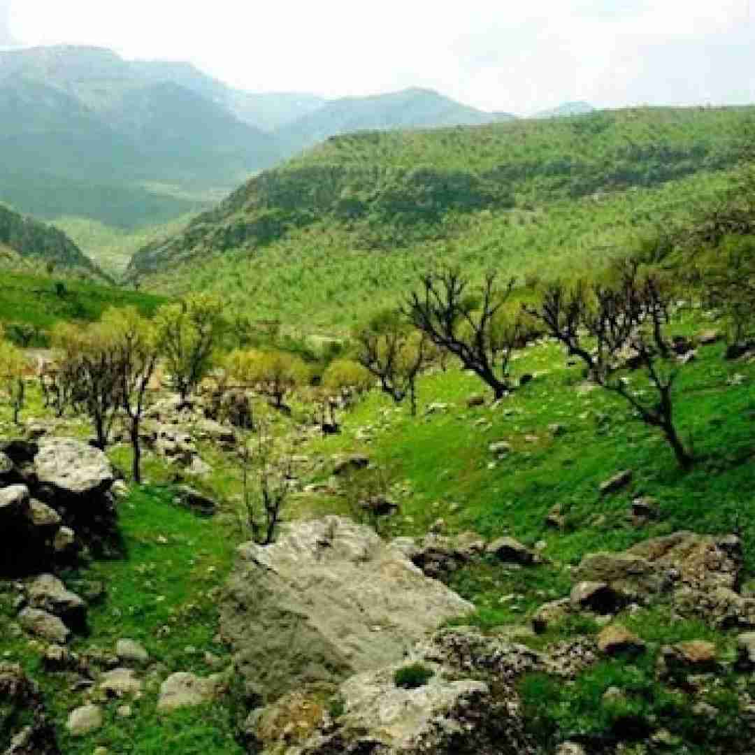  عکستو نشون بده بگو شبیه کی شدی چالش اینستاگرام