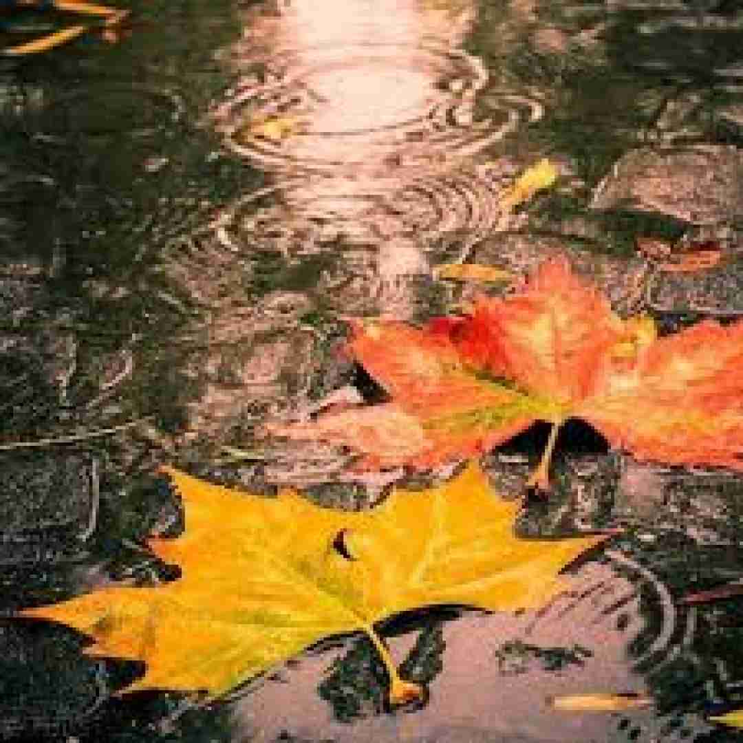  در سکوت شب خانه زد فریاد اما تو نشنیدی با صدای پسر بچه